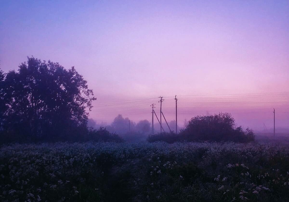 德甲冬歇期专访皮萨罗、赫韦德斯 ——半程看点大盘点